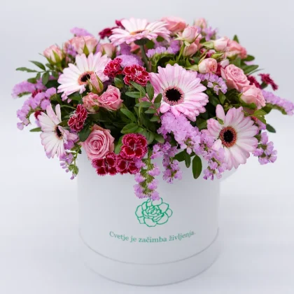 Šopek rožnato veselje