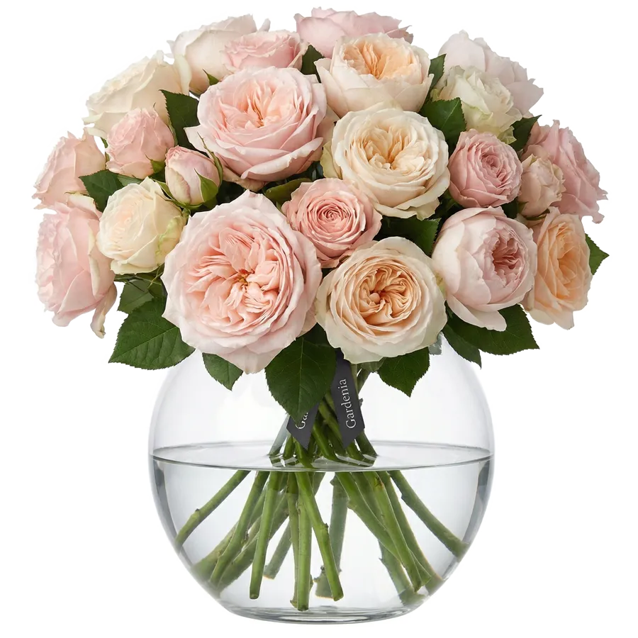 Gardenia povejte s cvetjem