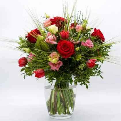 Šopek ognjeni poljub